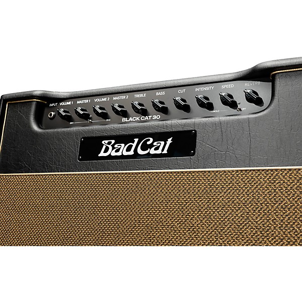 Bad Cat Mod Shop Black Cat 30 30W 1x12 Guitar Combo Amp by Mark Sampson Black