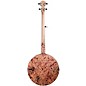 Deering Goodtime Zombie Killer III Resonator Banjo