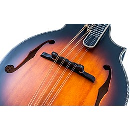 Washburn M3SEBRK F-Style Mandolin Brown Burst