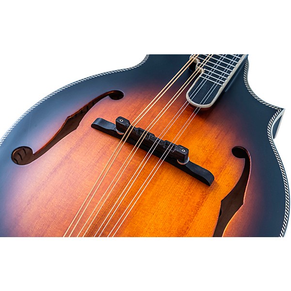 Washburn M3SEBRK F-Style Mandolin Brown Burst