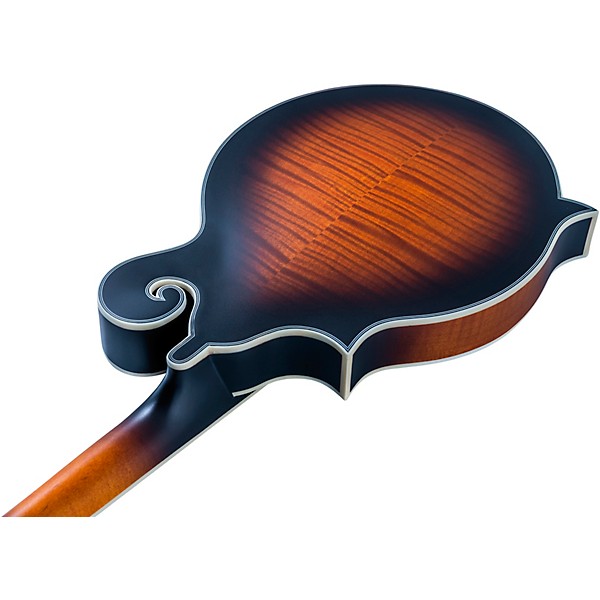 Washburn M3SEBRK F-Style Mandolin Brown Burst
