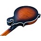 Washburn M3SEBRK F-Style Mandolin Brown Burst