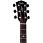Taylor Gold Label 817e Grand Pacific Acoustic-Electric Guitar Golden Brown Shaded Edgeburst
