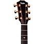 Taylor 117e Sunset Blvd Grand Pacific Acoustic-Electric Guitar Sunset Edgeburst