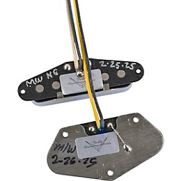 Fender Custom Shop '50/'51 Blackguard Telecaster Pickup Set Black and Chrome