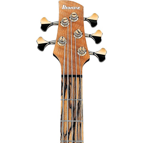Ibanez IV1SR 5-String Electric Bass Guitar Natural