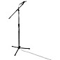 Rok-It RI-MIC-5020 Heavy-Duty Telescoping Boom Mic Stand
