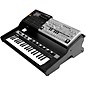 Gator Frameworks GFW-ELITE-SYNTHOASIS-BLK-32 Synth Oasis 32 Black