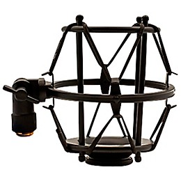 Aspen Pittman Designs AP 1B-FET Large-Diaphragm Condenser Microphone