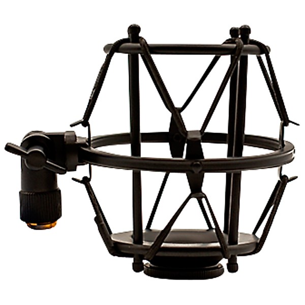 Aspen Pittman Designs AP 1B-FET Large-Diaphragm Condenser Microphone