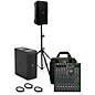 Mackie ThumpSub GO Battery-Powered Portable Subwoofer Bundle with 8" Thump Go Speakers, 10 Channel Mixer, Cables, Mixer Bag, and Speaker Stand thumbnail