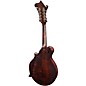 Eastman MD315 F-Style Mandolin Classic