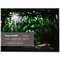 Rigotti Alto Saxophone Reeds, Queen 2.5 10 Pack thumbnail