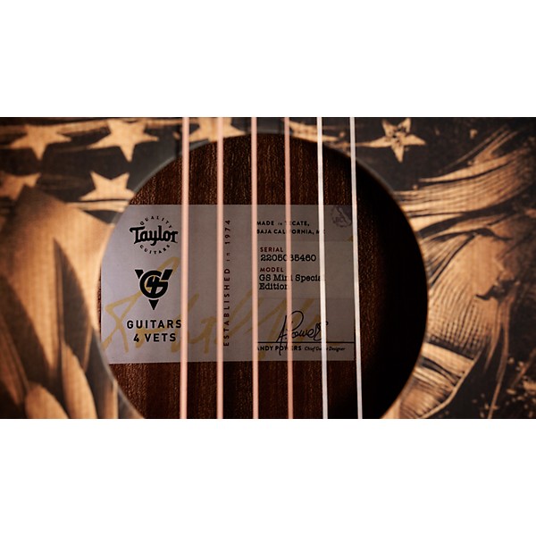 Taylor Guitars 4 Vets GS Mini Americana Special-Edition Acoustic Guitar Custom Graphic