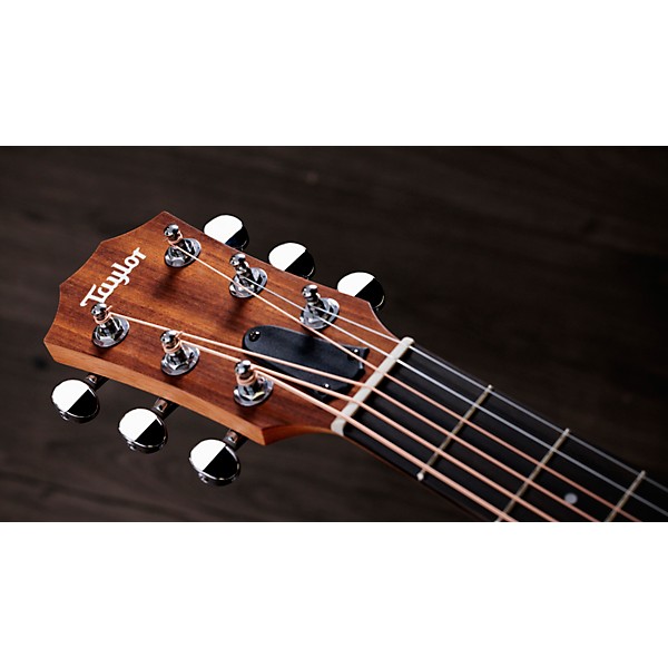 Taylor Guitars 4 Vets GS Mini Americana Special-Edition Acoustic Guitar Custom Graphic