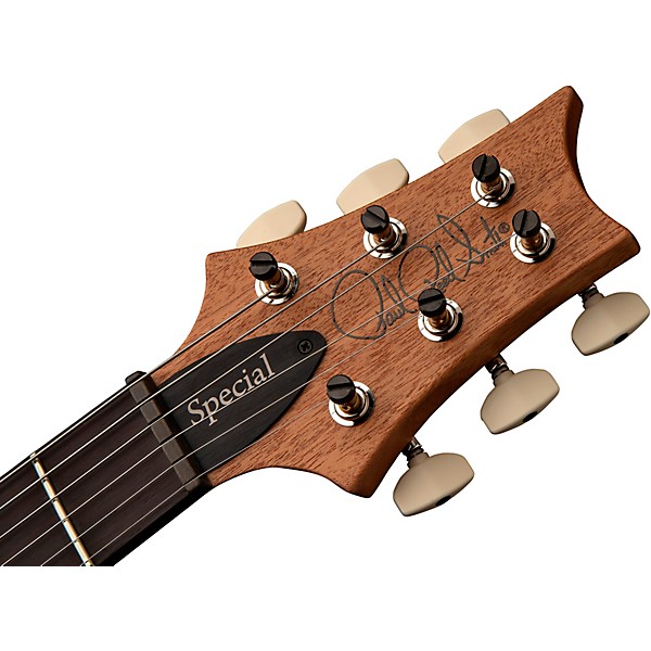 PRS S2 Special Semi-Hollow Reclaimed Limited-Edition Electric Guitar Natural