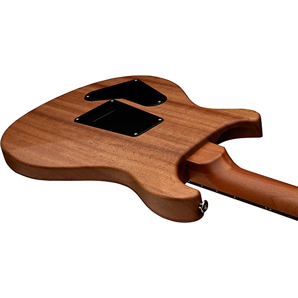 PRS S2 Special Semi-Hollow Reclaimed Limited-Edition Electric Guitar Natural