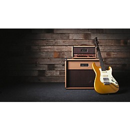 Revv Amplification D20 Joey Landreth Edition Tube Amplifier Head Brown