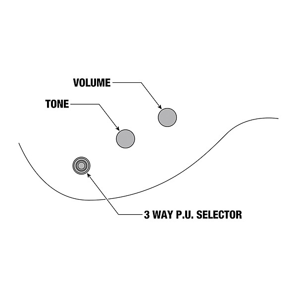 Ibanez Iron Label Xiphos XPT420DX Electric Guitar - Rose Gold Chameleon