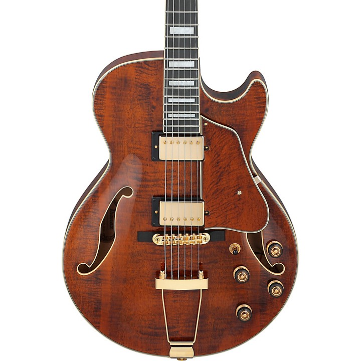 Ibanez Artcore Expressionist AG95MG Hollowbody Electric Guitar