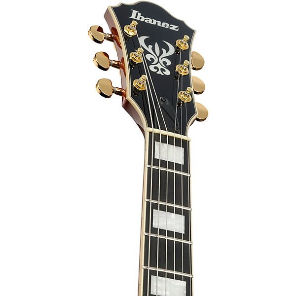 Ibanez Artcore Expressionist AG95MG Hollowbody Electric Guitar - Dark Amber