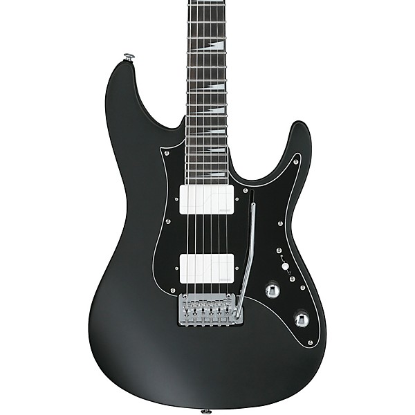Ibanez BER10 Bernth Signature Electric Guitar
