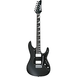 Ibanez BER10 Bernth Signature Electric Guitar