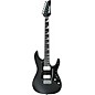 Ibanez BER10 Bernth Signature Electric Guitar