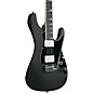 Ibanez BER10 Bernth Signature Electric Guitar