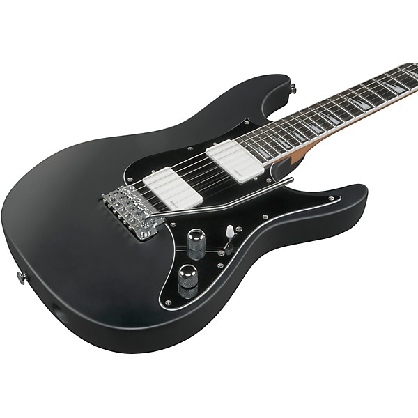 Ibanez BER10 Bernth Signature Electric Guitar