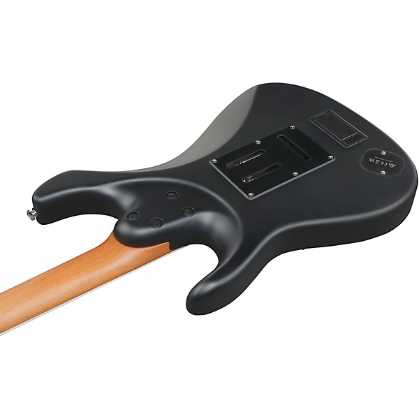 Ibanez BER10 Bernth Signature Electric Guitar