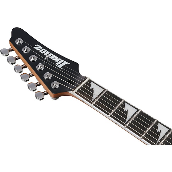 Ibanez BER10 Bernth Signature Electric Guitar