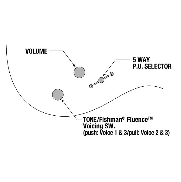 Ibanez BER10 Bernth Signature Electric Guitar