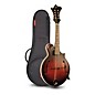 The Loar LM-310F Hand-Carved F-Style Mandolin with Bag Vintage Brown thumbnail