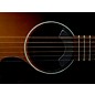 Fishman Fluence Acoustic Rock Icon Pickup Black