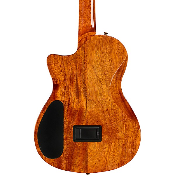 Cordoba Stage Artist Nylon-String Electric Guitar - Agave Burst