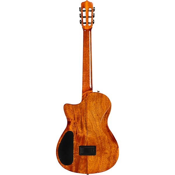 Cordoba Stage Artist Nylon-String Electric Guitar - Agave Burst