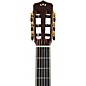 Cordoba Stage Artist Nylon-String Electric Guitar - Agave Burst