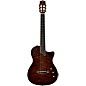 Cordoba Stage Artist Nylon-String Electric Guitar - Habano Burst