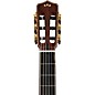 Cordoba Stage Artist Nylon-String Electric Guitar - Habano Burst