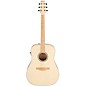 Ibanez AAD77M1E Advanced Dreadnought Acoustic-Electric Guitar - Open Pore Antique White