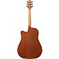Ibanez AAD51CE Advanced Dreadnought Acoustic-Electric Guitar - Natural