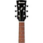 Ibanez PN50TKE Parlor Acoustic-Electric Guitar - Natural