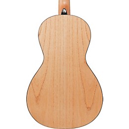 Ibanez PN2MD Parlor Acoustic Guitar - Open Pore Natural