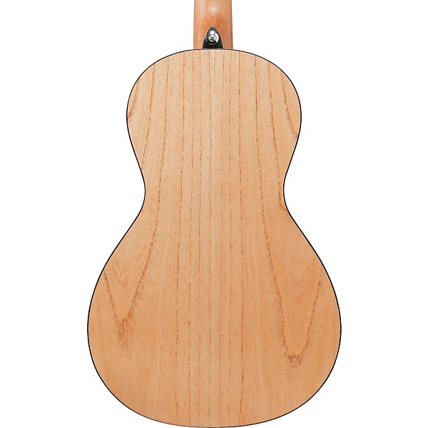 Ibanez PN2MD Parlor Acoustic Guitar - Open Pore Natural