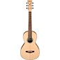 Ibanez PN2MD Parlor Acoustic Guitar - Open Pore Natural