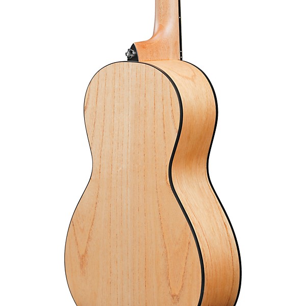 Ibanez PN2MD Parlor Acoustic Guitar - Open Pore Natural