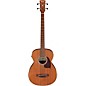 Ibanez PCB54E Grand Concert Acoustic-Electric Bass Guitar - Open Pore Natural