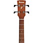 Ibanez PCB54E Grand Concert Acoustic-Electric Bass Guitar - Open Pore Natural