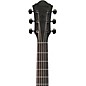 Ibanez AEG621 Auditorium Acoustic-Electric Guitar - Black Out